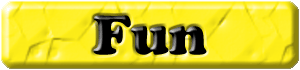 Fun